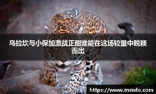 乌拉坎与小保加激战正酣谁能在这场较量中脱颖而出